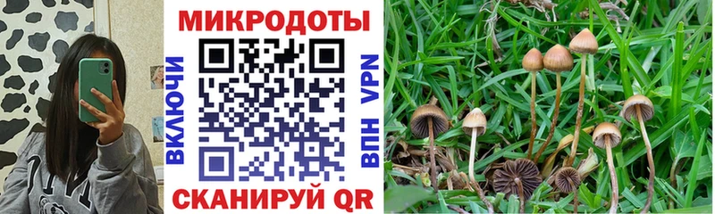 как найти наркотики  Южноуральск  Псилоцибиновые грибы Cubensis 